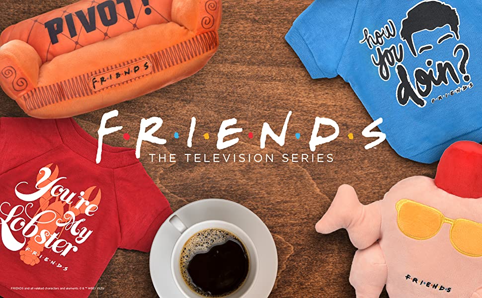 friends-banner